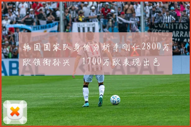 韩国国家队身价分析李刚仁2800万欧领衔孙兴慜1700万欧表现出色